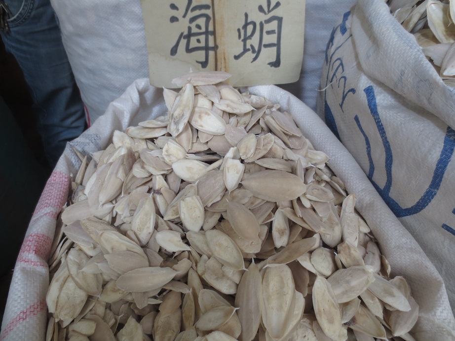 海螵蛸 小个 产地 广西壮族自治区崇左市凭祥市
